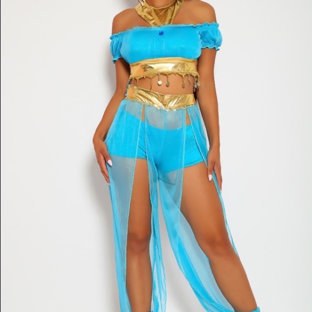 Princess Jasmine Costume Size Small